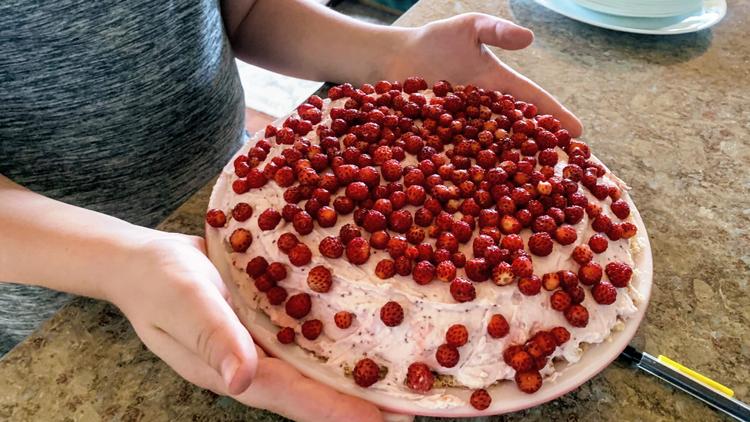 Did God Use Evolution to Create?